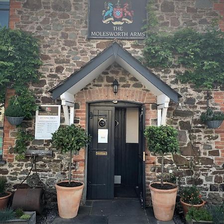 Molesworth Accommodation, Pyworthy, Devon Холсворти Экстерьер фото